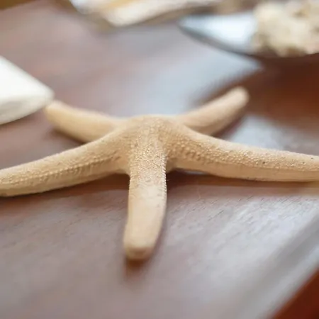 Salsalitre Chico Διαμέρισμα *